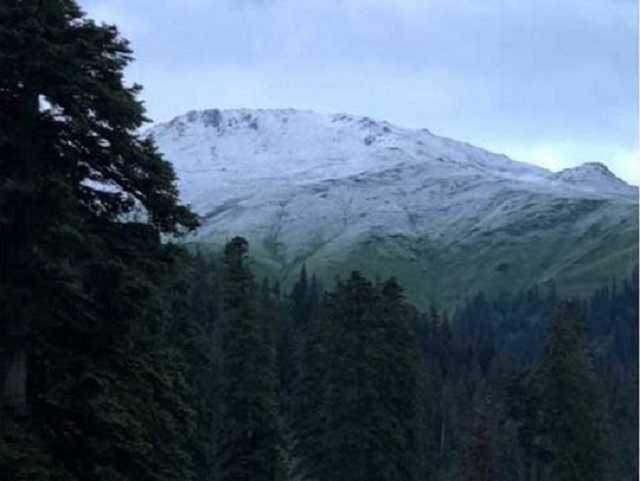 В Грузии в середине лета внезапно выпал снег: опубликованы впечатляющие фото