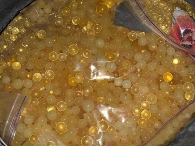 Украинец пытался вывезти в Венгрию 20 килограммов янтаря