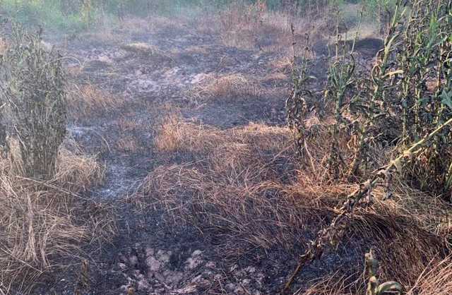 Под Киевом загорелись торфяники