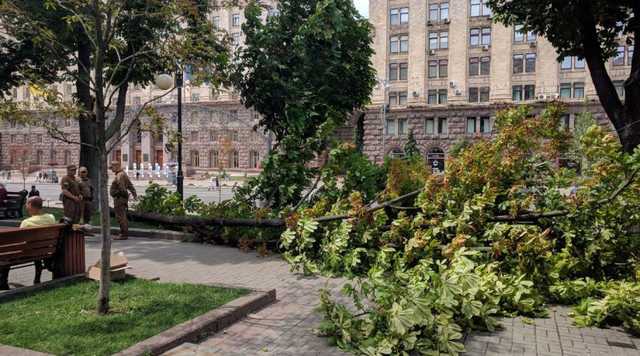 Ветер свалил огромный каштан на Крещатике