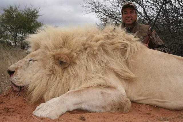 Кандидат від ОПЗЖ Володимир Кальцев вбиває тварин заради забави