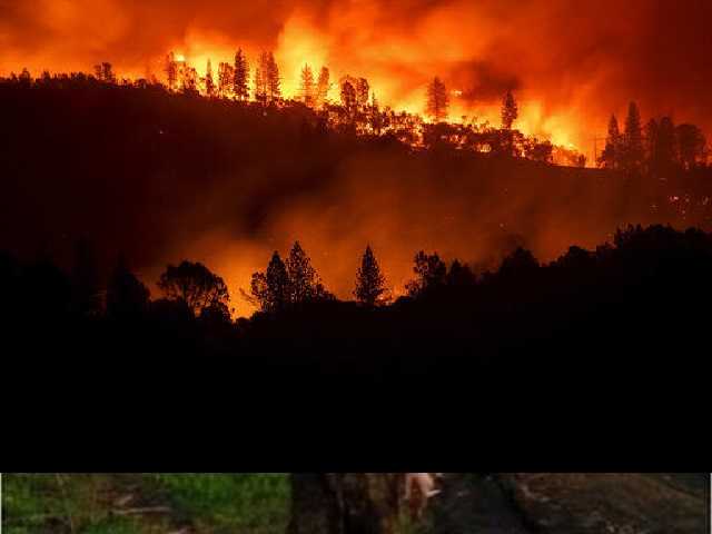 Шашлыки отменяются: спасатели объявили наивысший уровень пожароопасности в Украине