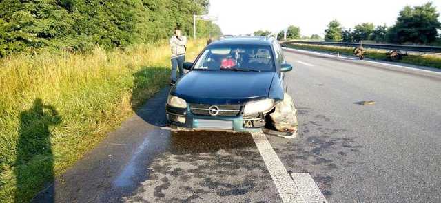 Под Житомиром произошло кровавое ДТП с конной повозкой: есть погибшие