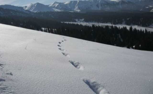 Карпаты в разгар лета засыпало снегом