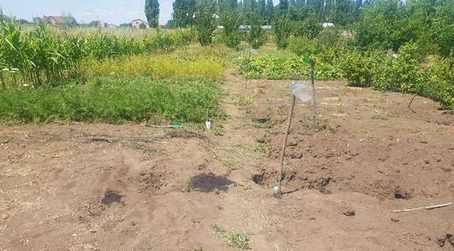 Полиция квалифицировала обстрел Красногоровки как теракт