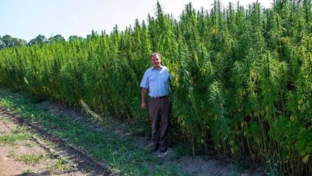 Мішель Терещенко: На сайті ЦВК - фальсифіковані дані по 159-му округу?