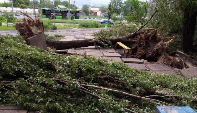 В сельской школе в Запорожской области ураганный ветер сорвал крышу