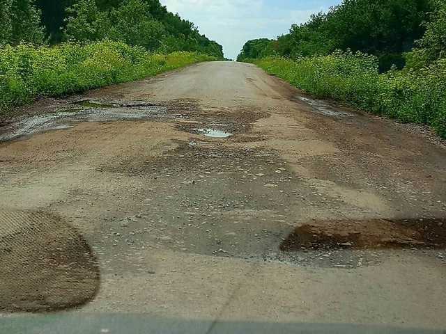 У дороги на Полтавщине обнаружили разложившийся труп женщины