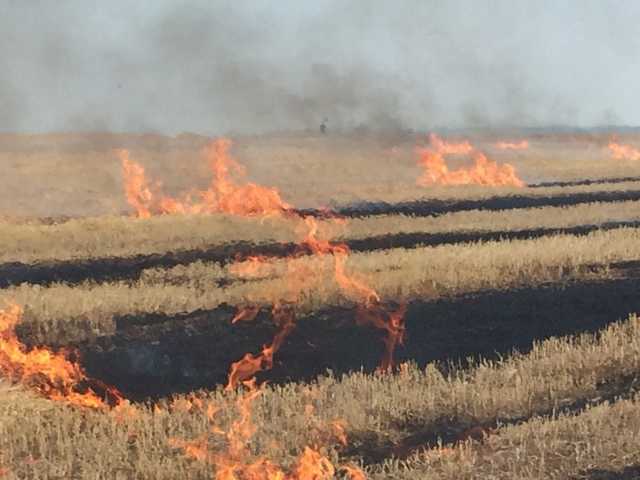 В Украине объявлен высший уровень пожароопасности, – ГСЧС
