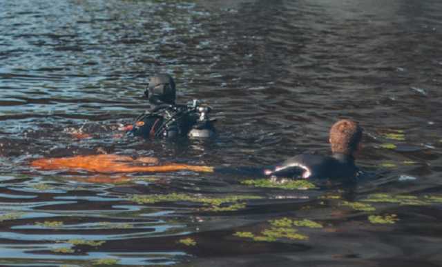 Под Киевом в реке нашли изуродованный труп мужчины