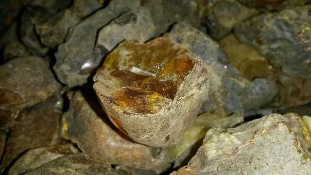 После визита Зеленского на Житомирщине объявили подозрение банде нелегальных копателей янтаря