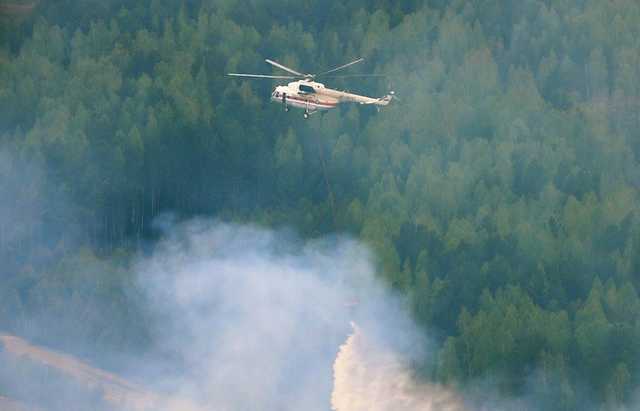 В окупованому Криму спалахнула лісова зона