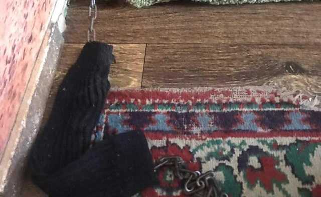 У Дніпрі батьки утримували дитину на ланцюгу