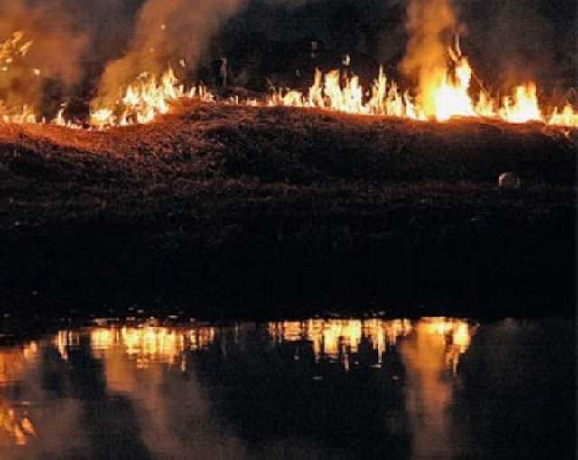 Под Одессой из-за халатного отношения к природе пострадал заповедник