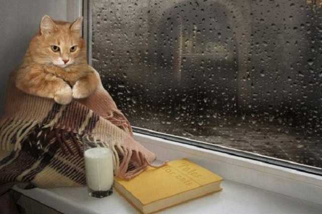 Жару сменит холод: синоптики изменили прогноз на сентябрь