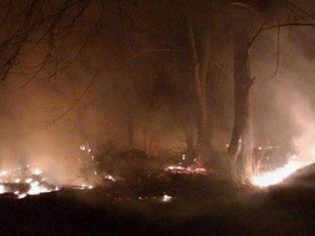 На Закарпатье горели кустарники, виноградники и лес