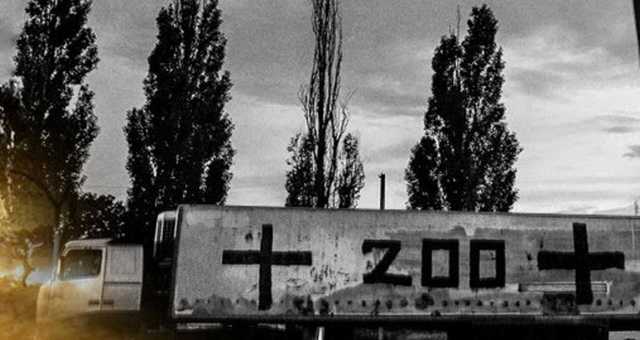 Обстреливали "Азов": на Донбассе ликвидировали террористов "ДНР"