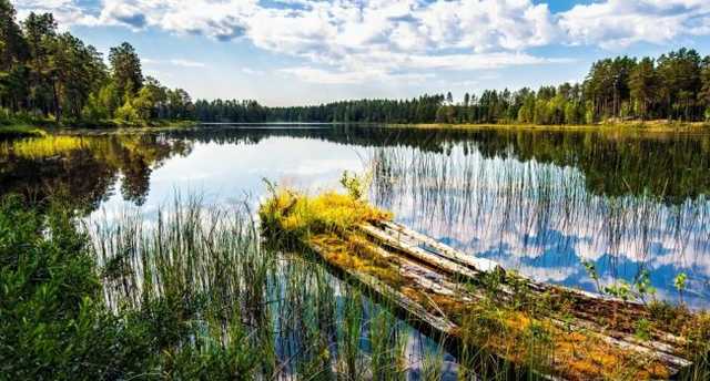 Начало осени будет очень жарким: синоптики рассказали о погоде в первые дни сентября
