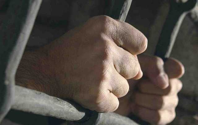 В Минюсте собрались реформировать пенитенциарную систему по образцу Дании и Норвегии