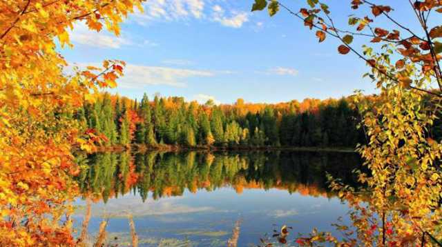 Жарко и сухо: синоптики порадовали украинцев погодой в конце рабочей недели