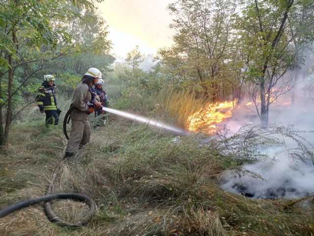 Под Днепром полдня горит лес: дым окутал соседние города