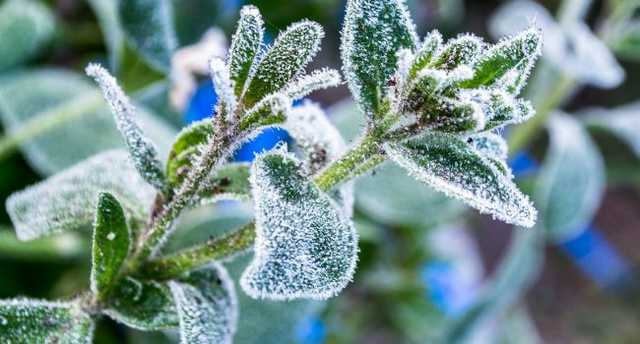 Накроет "монстр с Востока": появился устрашающий прогноз на зиму в Украине