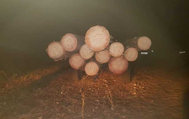 Под Киевом коп избил и переехал машиной лесничего