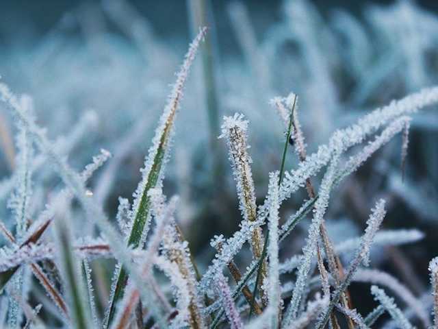 Температура воздуха в Украине снизится до нуля