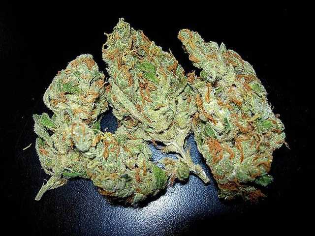 В Запорожье полицейские изъяли наркотиков на 100 тысяч гривен