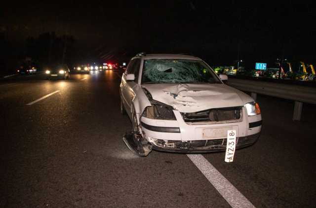 Водитель сбежал: под Киевом автомобиль насмерть сбил женщину на "зебре"
