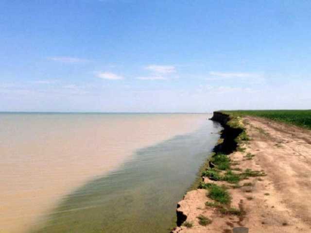 Под Одессой второй раз за сутки напали на сотрудников нацпарка «Тузловские лиманы»