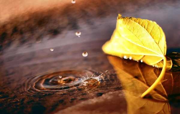 Синоптики рассказали, где украинцам ожидать дожди в пятницу, 27 сентября