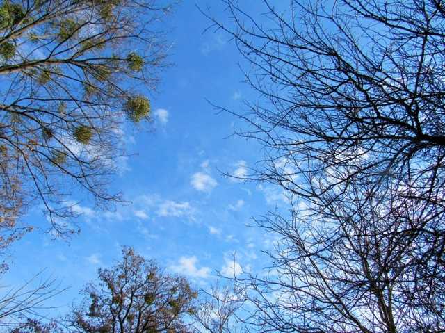 Сьогодні в Україні буде сонячно і тепло: прогноз