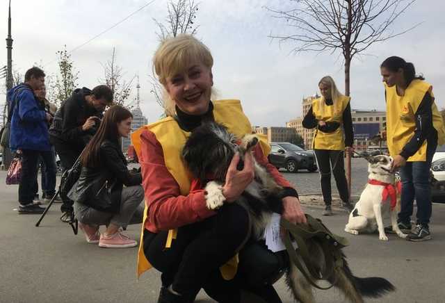 У Харкові влаштували акцію на підтримку безпритульних тварин