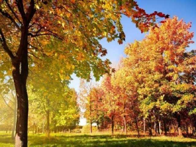 «Бабье лето» продолжается: синоптик дала прогноз на ближайшие дни