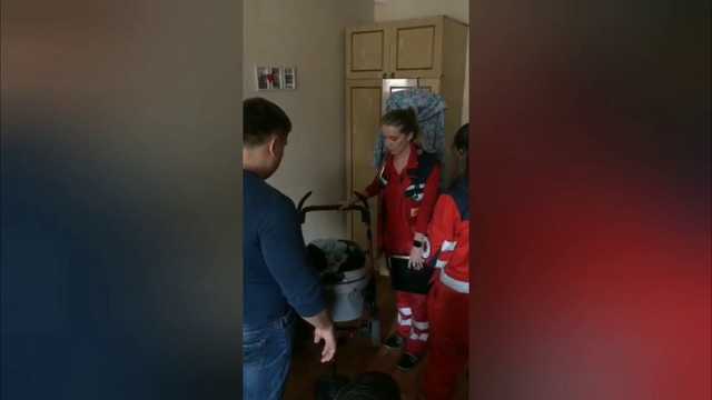 Появилось видео задержания участницы АТО, похитившей ребенка под Киевом