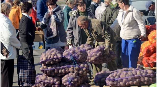 В Украину завезли ядовитый картофель из Беларуси: как распознать