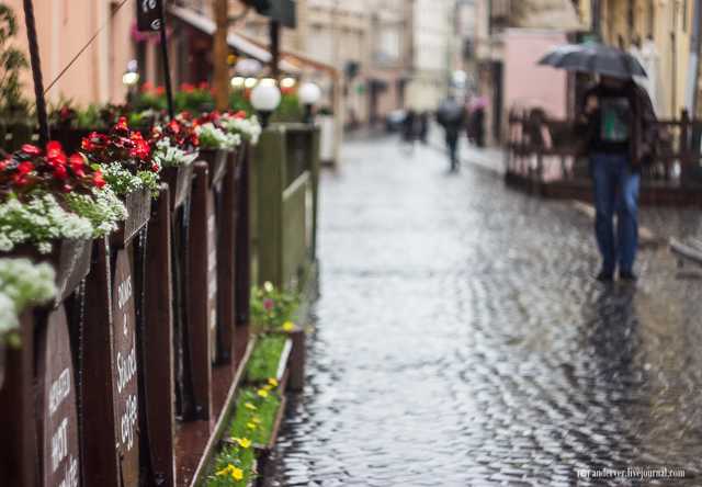 Українцям обіцяють наступного тижня дощ зі снігом