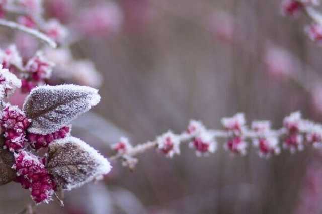 До -5 і сніг: названі дати серйозного похолодання в Україні