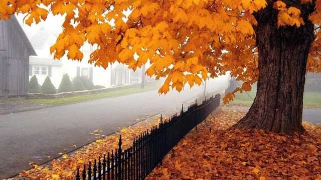 Синоптики рассказали, какой будет погода в Украине во второй день ноября