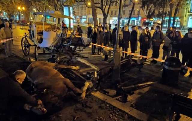 Во Львове запретили катать людей на лошадях в течение недели