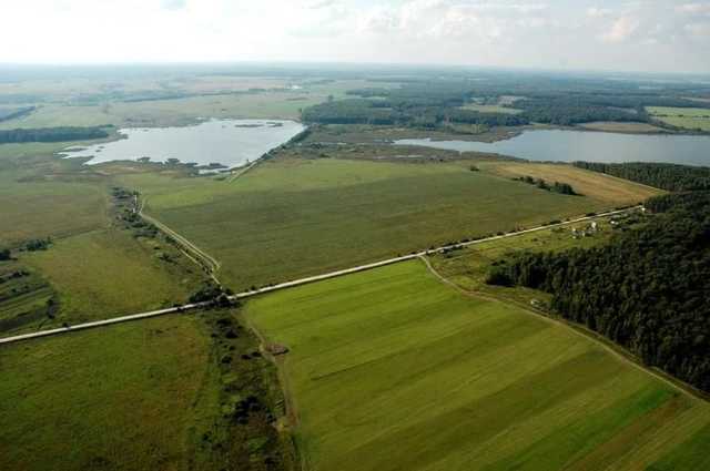 Рынок земли: В Кабмине назвали предварительную стоимость гектара