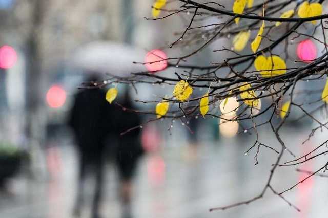 В Украину идет новая волна тепла: синоптик порадовала прогнозом