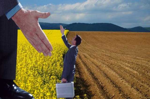 Хмара: Референдум з приводу ринку землі - це шахрайство президента