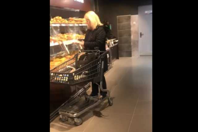 Во Львове известный супермаркет попал в скандал из-за крысы в зале