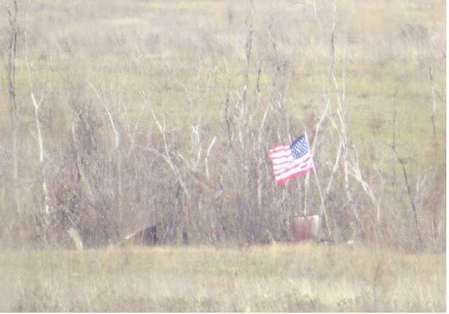 Террористы Путина закатили истерику из-за флагов США на Донбассе