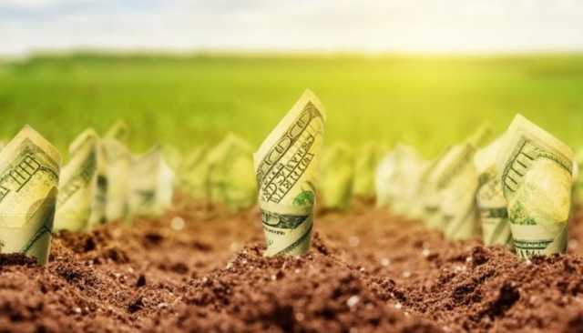 Сергей Лямец: “Давайте о “рынке земли” без эмоций”