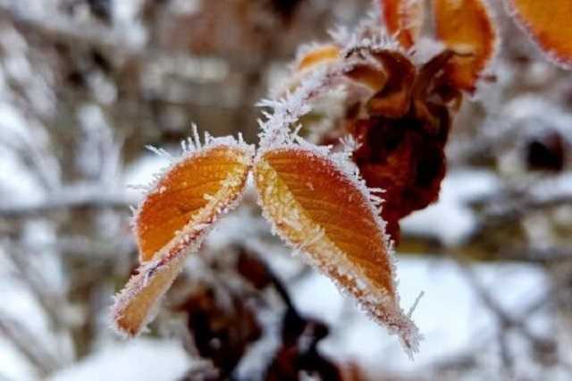 В Україні холоднішає: на заході очікують сніг з дощем