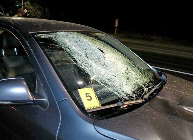 Смертельный наезд на проспекте Палладина в Киеве: под колесами Skoda погиб молодой мужчина