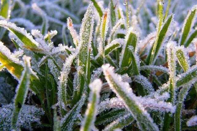 Україну підморозить: синоптики дали свіжий прогноз погоди на суботу